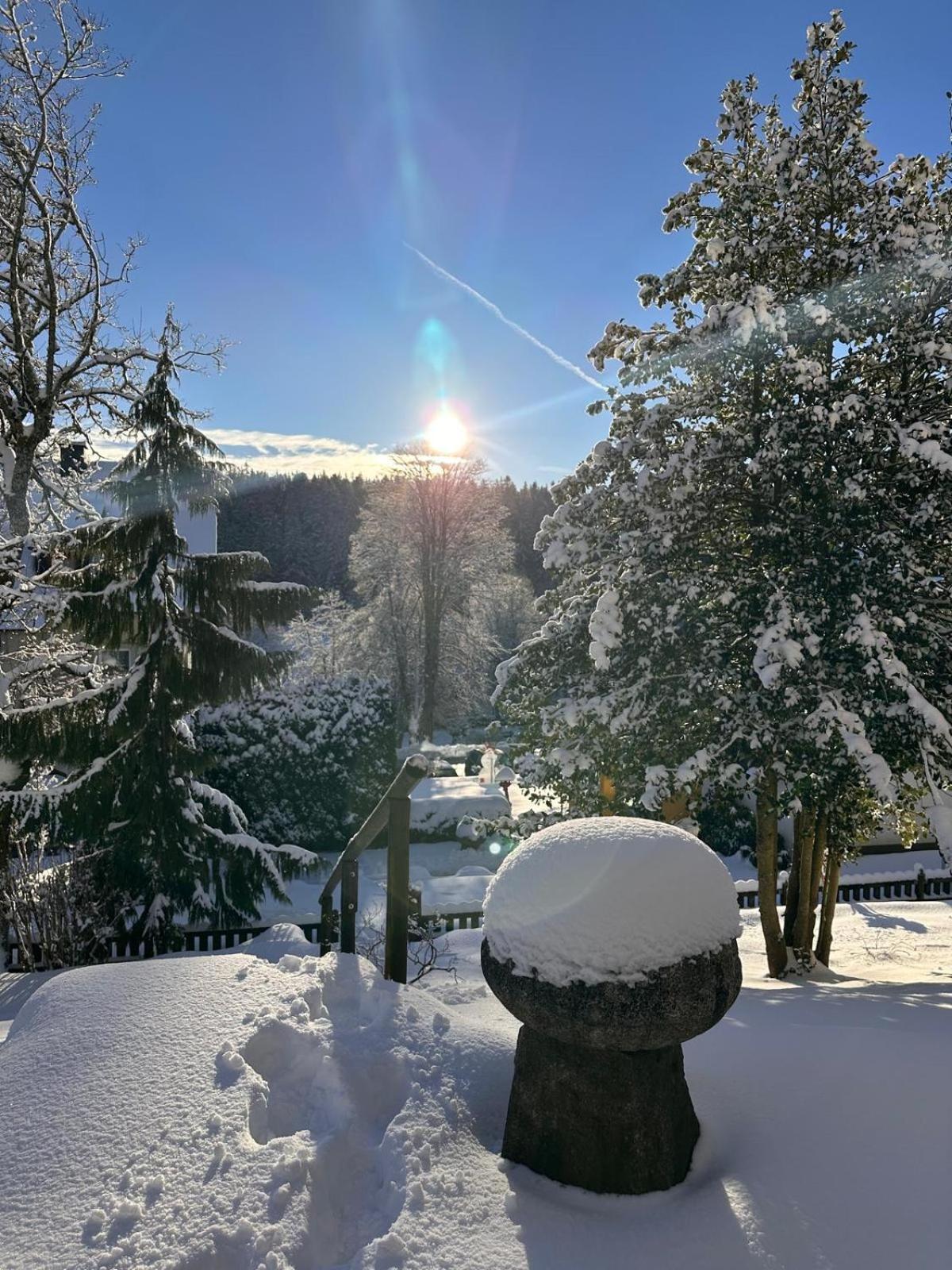 Hotel Dorer Schönwalde Buitenkant foto